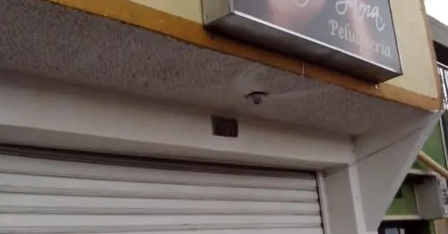 ALFA GAMA PELUQUERIA ALFA GAMA PELUQUERIA
